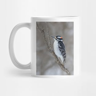 Hairy Woodpecker Mug